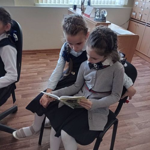 12 ноября в библиотеке школы прошёл урок-беседа с учениками 2 класса